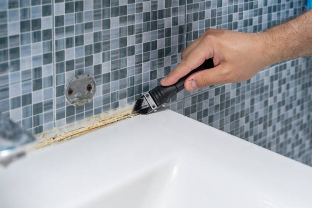 Best Best Mold Removal Companies  in Camn, DE
