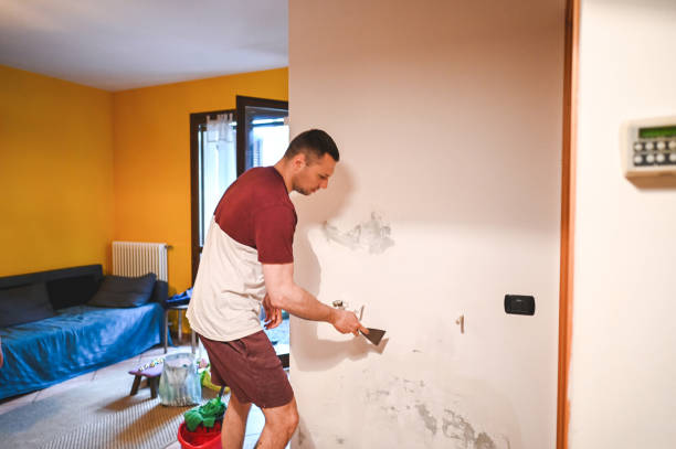 Best Office Mold Removal Services  in Camn, DE
